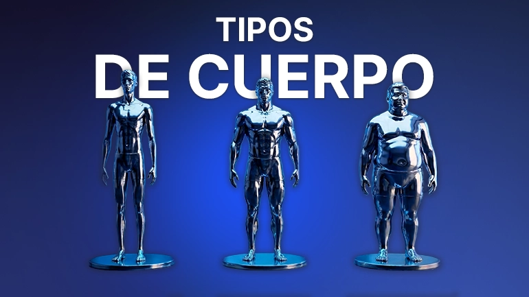 Tipos de cuerpo ectomorfo, mesomorfo o endomorfo