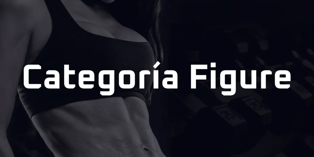 Categoría Figure