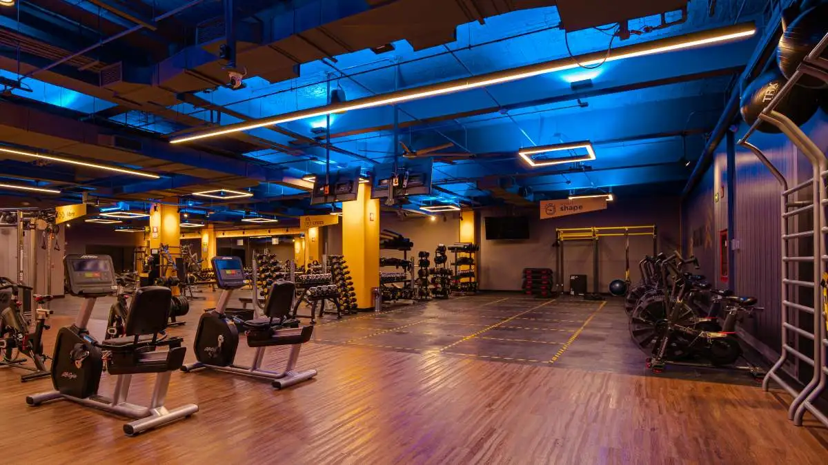 Ectomorfo, metamorfo o endomorfo, ¿qué tipo es mi cuerpo y qué entrenamiento necesito?