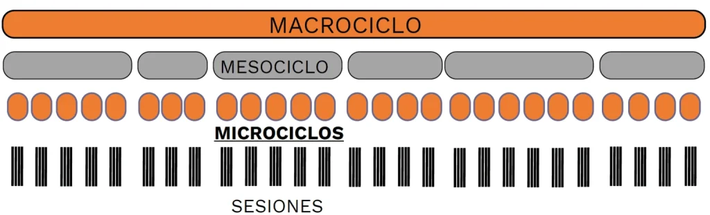 Engrama periodización del entrenamiento