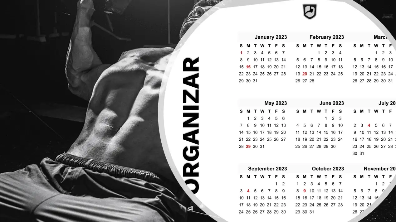 Periodización del entrenamiento e hipertrofia