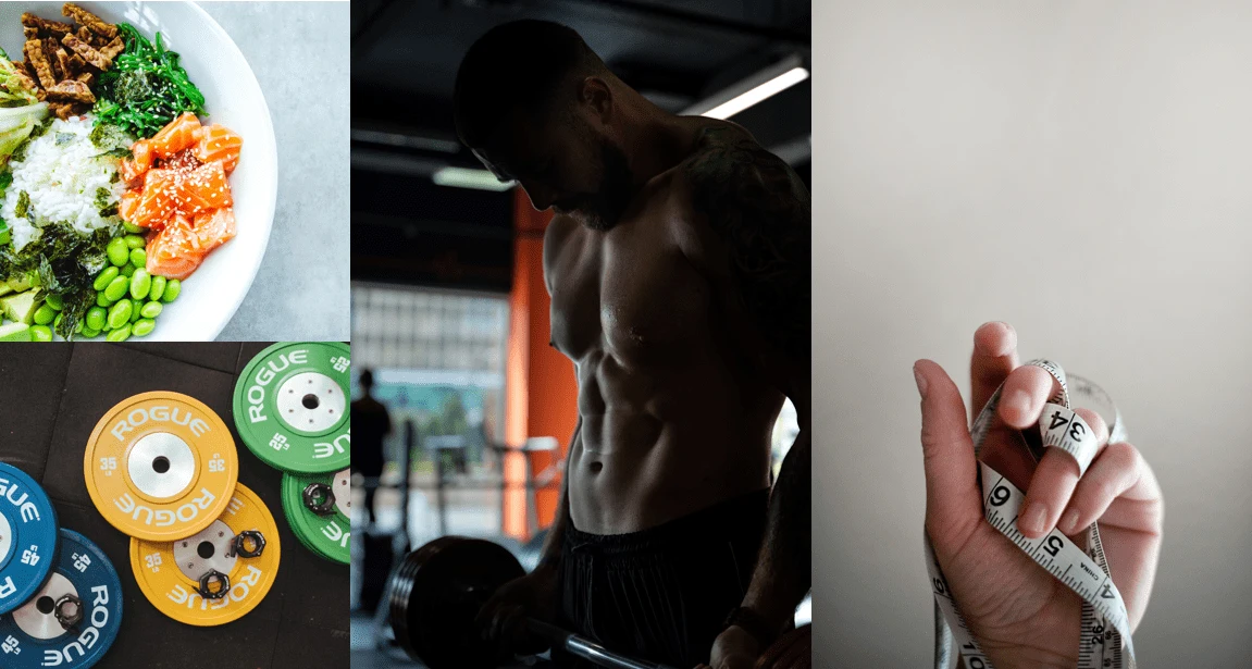 BULKING: ANÁLISIS DE LA ETAPA DE VOLUMEN