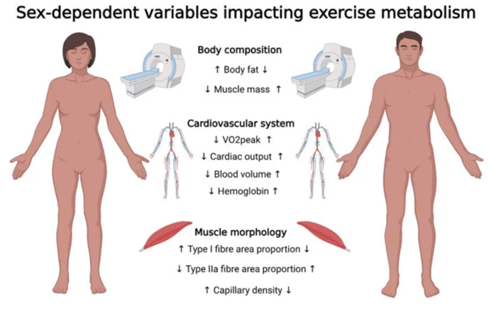 Hipertrofia en las mujeres: diferencias con hombres
