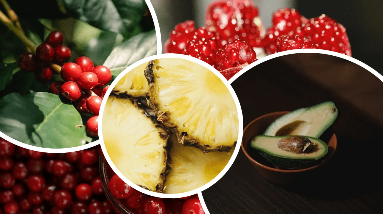 5 SUPERALIMENTOS QUE AYUDARÁN A TU SALUD Y RECUPERACIÓN