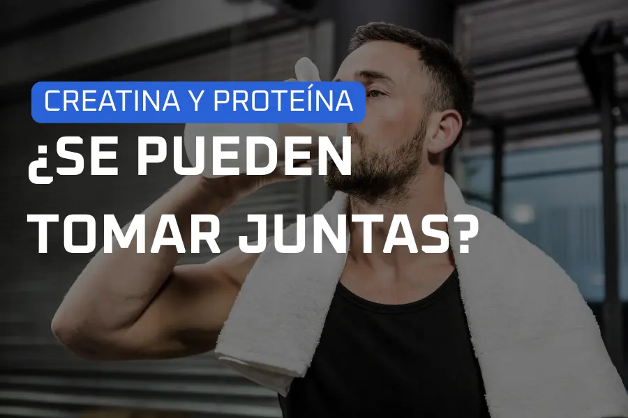 creatina y proteina se pueden tomar juntas