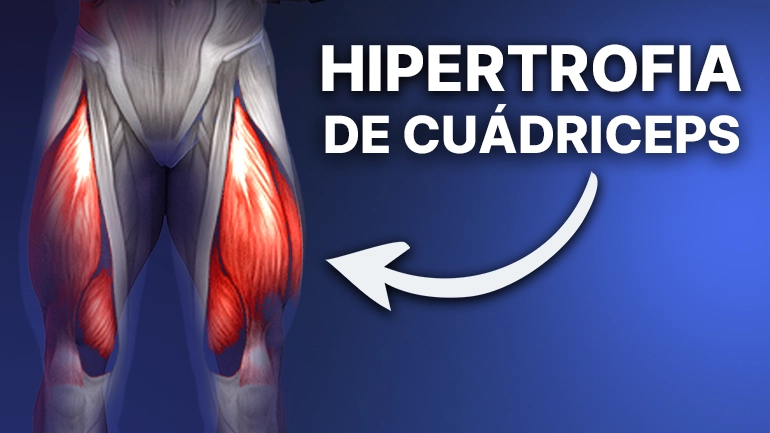 hipertrofia cuadriceps