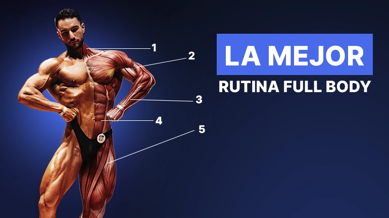 rutina full body 3 días hipertrofia