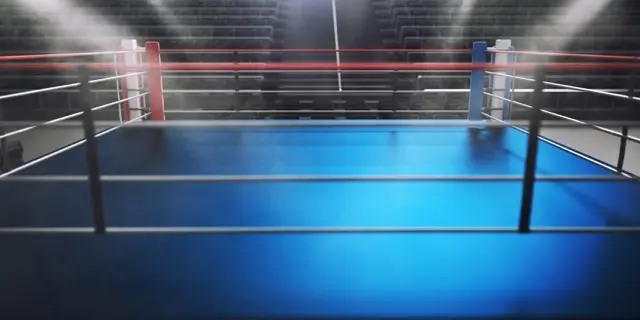 MMA en la actualidad